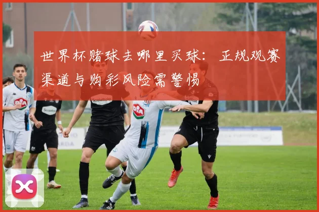 世界杯赌球去哪里买球:正规观赛渠道与购彩风险需警惕