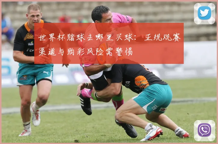 世界杯赌球去哪里买球:正规观赛渠道与购彩风险需警惕