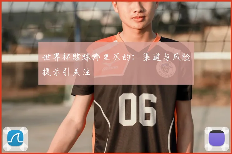 世界杯赌球哪里买的：渠道与风险提示引关注