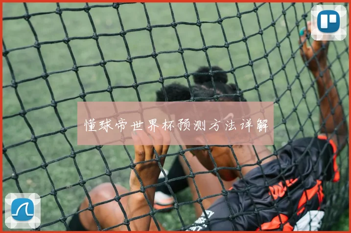 懂球帝世界杯预测方法详解