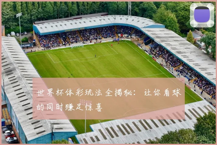 世界杯体彩玩法全揭秘:让你看球的同时赚足惊喜