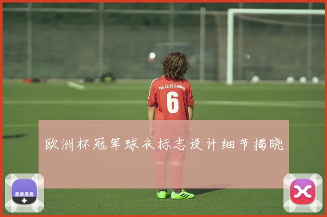 欧洲杯冠军球衣标志设计细节揭晓
