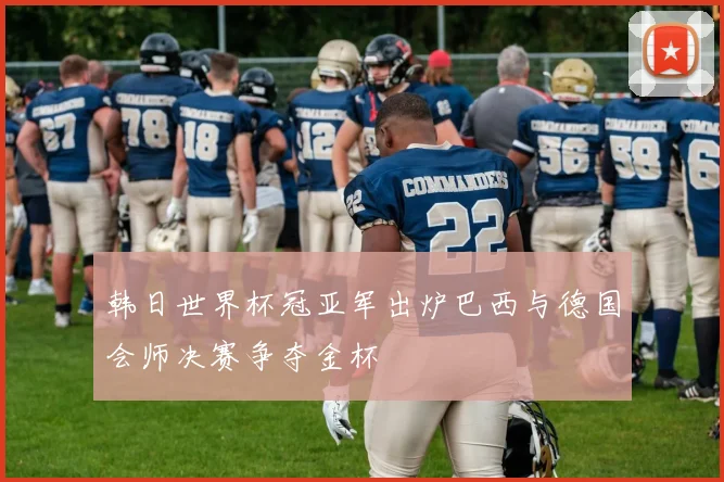 韩日世界杯冠亚军出炉巴西与德国会师决赛争夺金杯