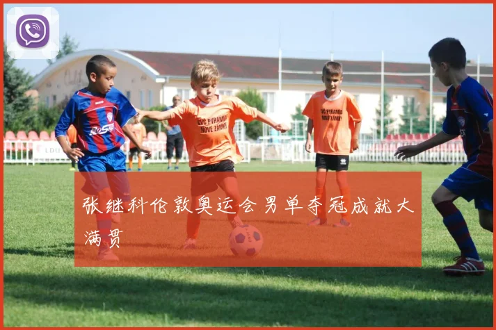 张继科伦敦奥运会男单夺冠成就大满贯