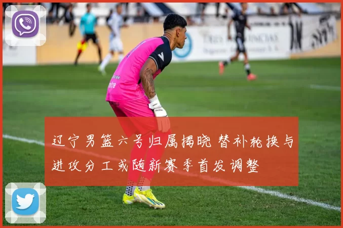 辽宁男篮六号归属揭晓 替补轮换与进攻分工或随新赛季首发调整